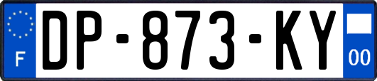 DP-873-KY