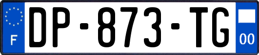 DP-873-TG