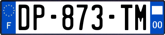 DP-873-TM