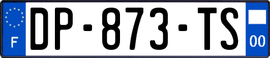 DP-873-TS