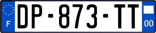 DP-873-TT