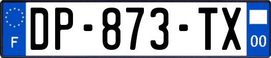 DP-873-TX
