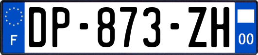 DP-873-ZH