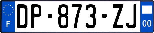 DP-873-ZJ