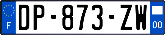 DP-873-ZW