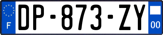 DP-873-ZY