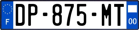 DP-875-MT