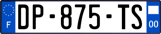 DP-875-TS