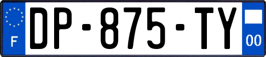 DP-875-TY