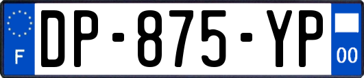 DP-875-YP