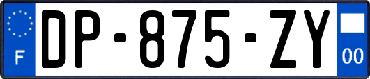 DP-875-ZY