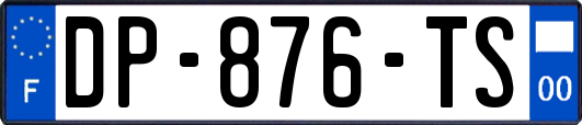 DP-876-TS