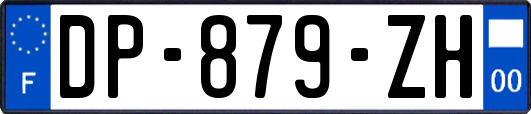 DP-879-ZH