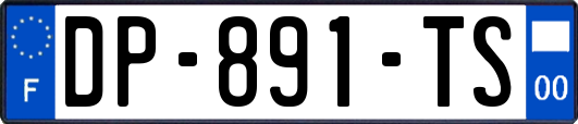 DP-891-TS