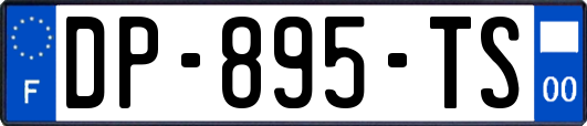 DP-895-TS