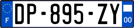 DP-895-ZY