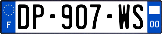 DP-907-WS