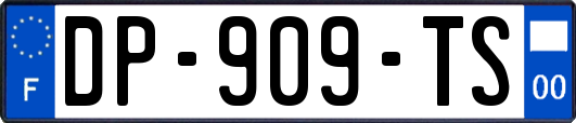 DP-909-TS