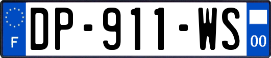 DP-911-WS