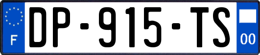 DP-915-TS