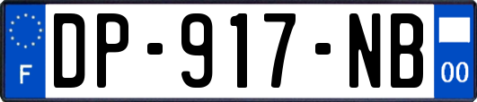 DP-917-NB