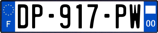 DP-917-PW