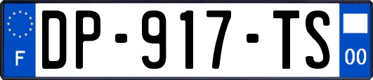 DP-917-TS