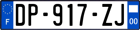 DP-917-ZJ