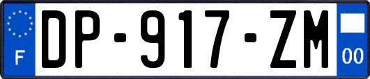 DP-917-ZM