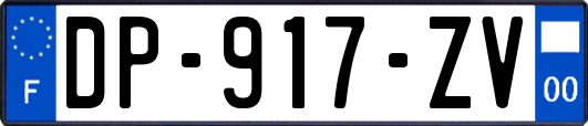 DP-917-ZV