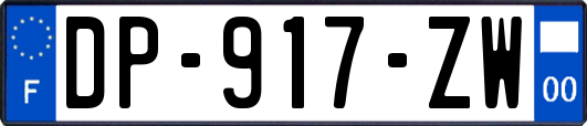 DP-917-ZW