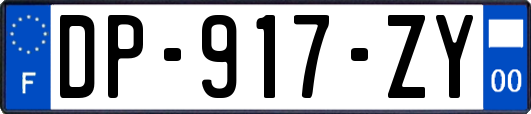 DP-917-ZY