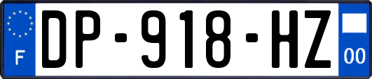 DP-918-HZ