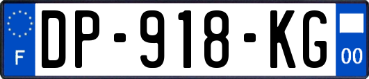 DP-918-KG