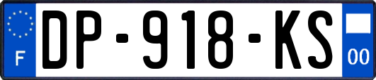 DP-918-KS