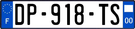 DP-918-TS