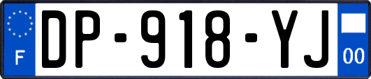 DP-918-YJ