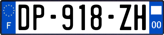 DP-918-ZH