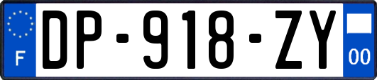 DP-918-ZY