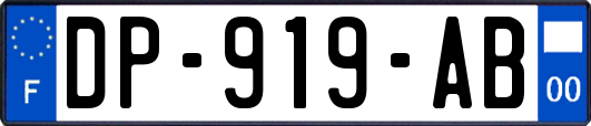 DP-919-AB