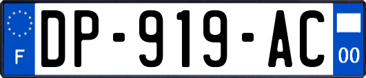 DP-919-AC