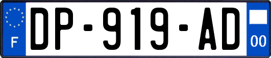 DP-919-AD