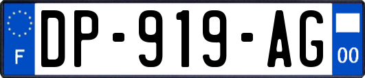 DP-919-AG