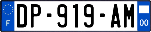 DP-919-AM