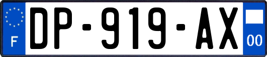 DP-919-AX