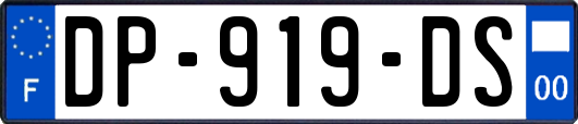 DP-919-DS