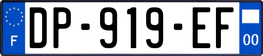 DP-919-EF