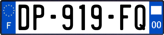 DP-919-FQ