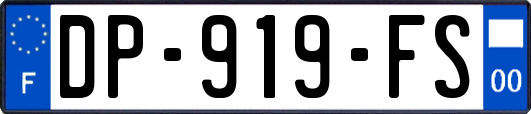 DP-919-FS