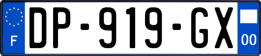 DP-919-GX